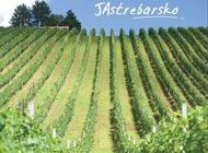 Otkrite svoje JAstrebarsko 