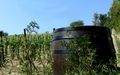 Vučinić Winery